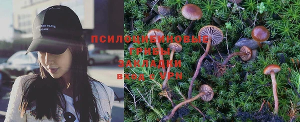 индика Абинск