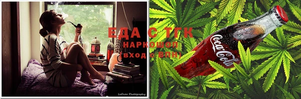 индика Абинск
