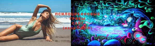 индика Абинск